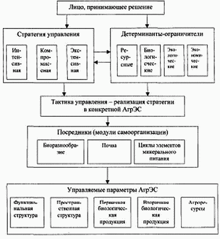 Шпаргалка: Агроэкосистема