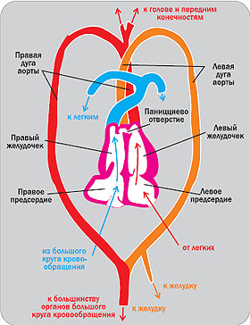 http://www.xliby.ru/kompyutery_i_internet/zhurnal_kompyuterra_726/_726-30.jpg