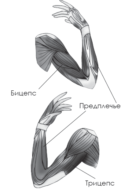 ������� ��� ��������� ������������: ����.